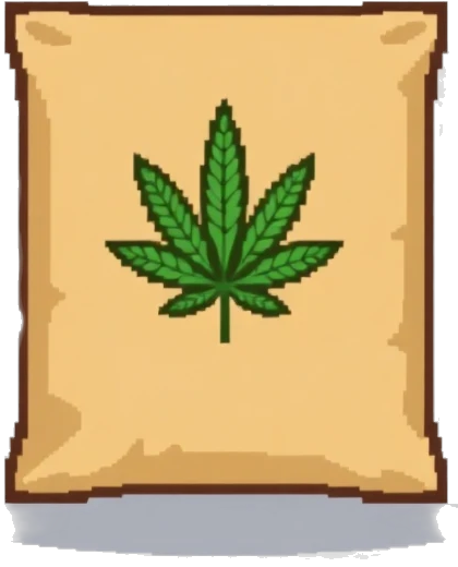 Cannabis Seed